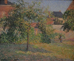 Apfelbaum auf der Wiese